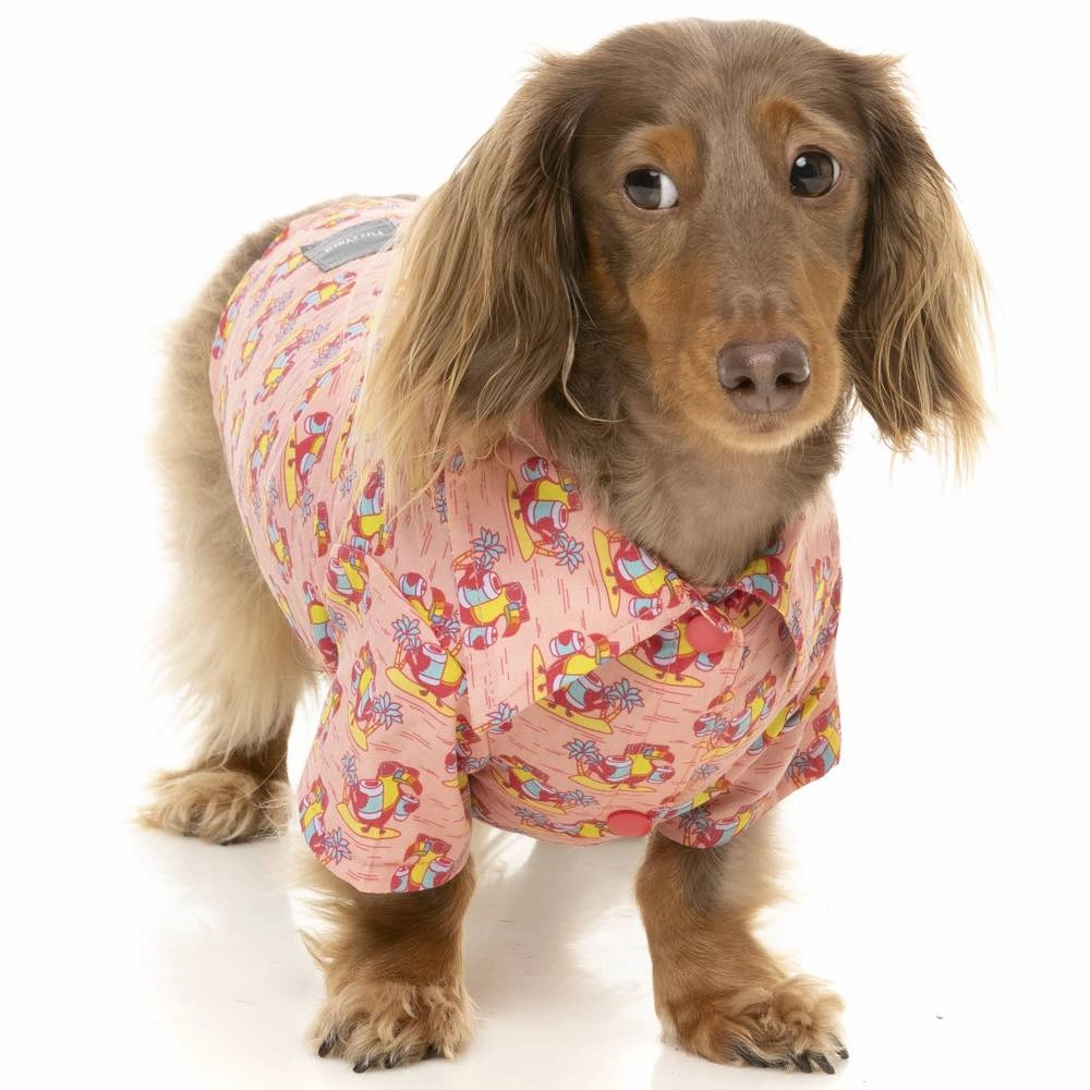 10% OFF: FuzzYard Button Up Shirt For Dogs (Two-Cans)
