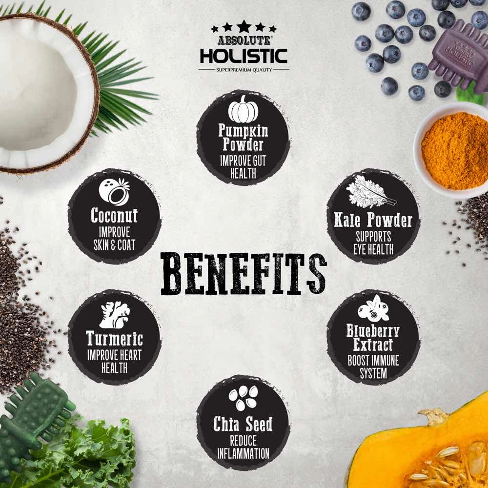 12 FOR $12: Absolute Holistic Boost Turmeric Grain-Free Dental Dog Chew 25g