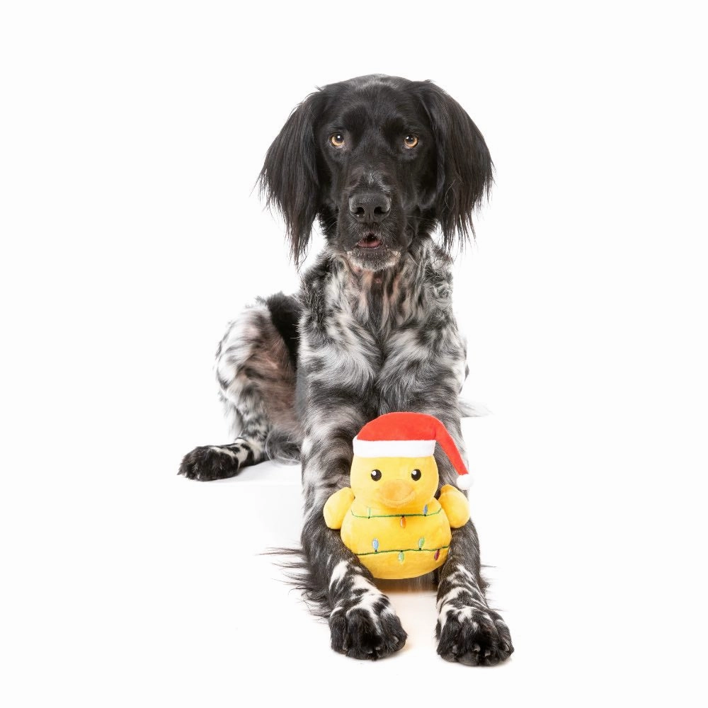 15% OFF: FuzzYard Christmas Merry Quackmas Plush Dog Toy
