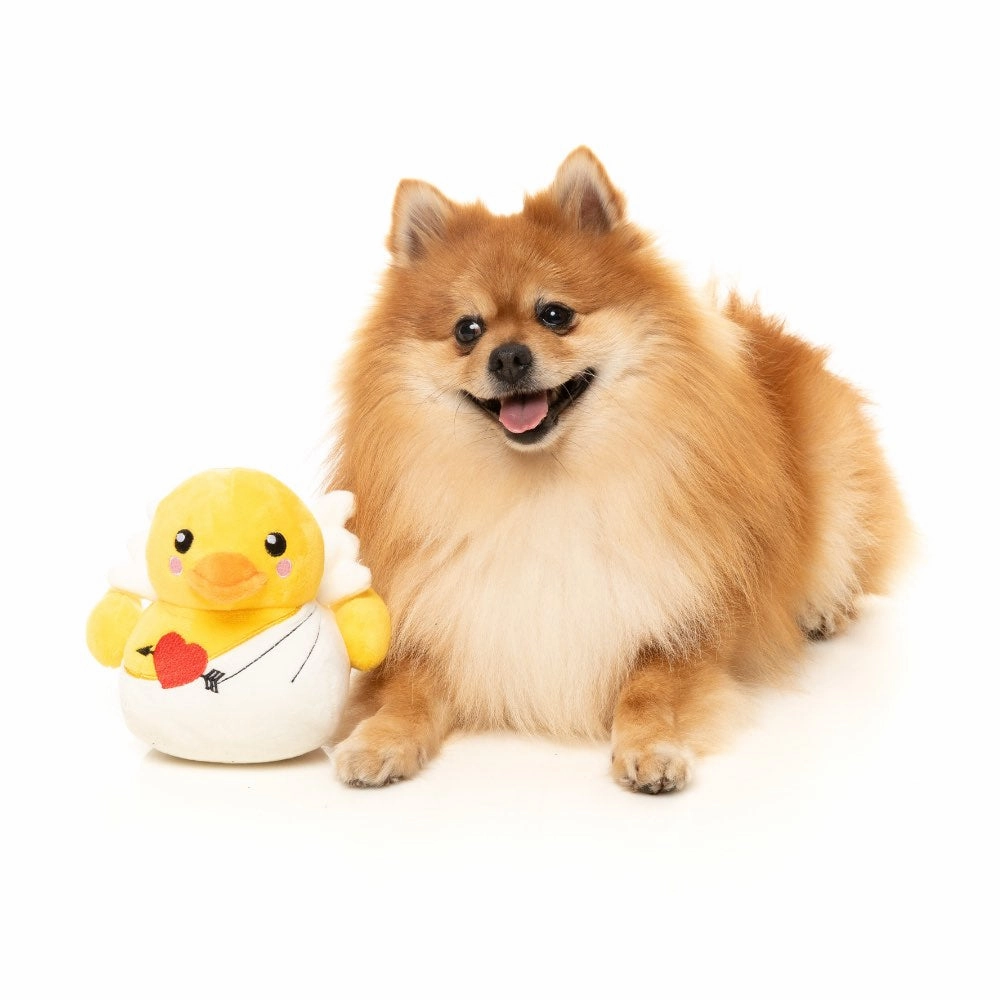 15% OFF: FuzzYard Cupid Duck Dog Toy