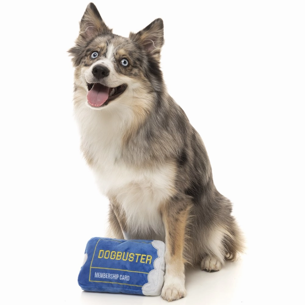 15% OFF: FuzzYard Dogbuster Card Plush Dog Toy
