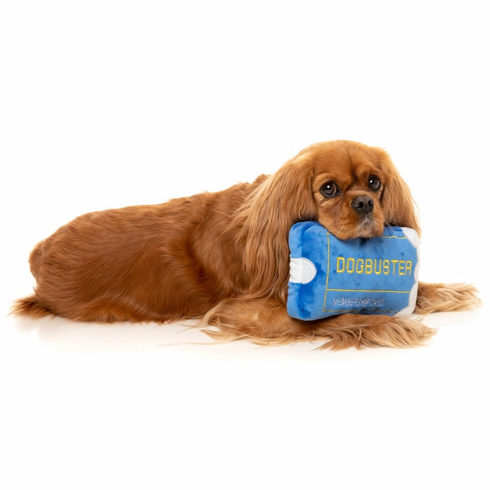15% OFF: FuzzYard Dogbuster Card Plush Dog Toy