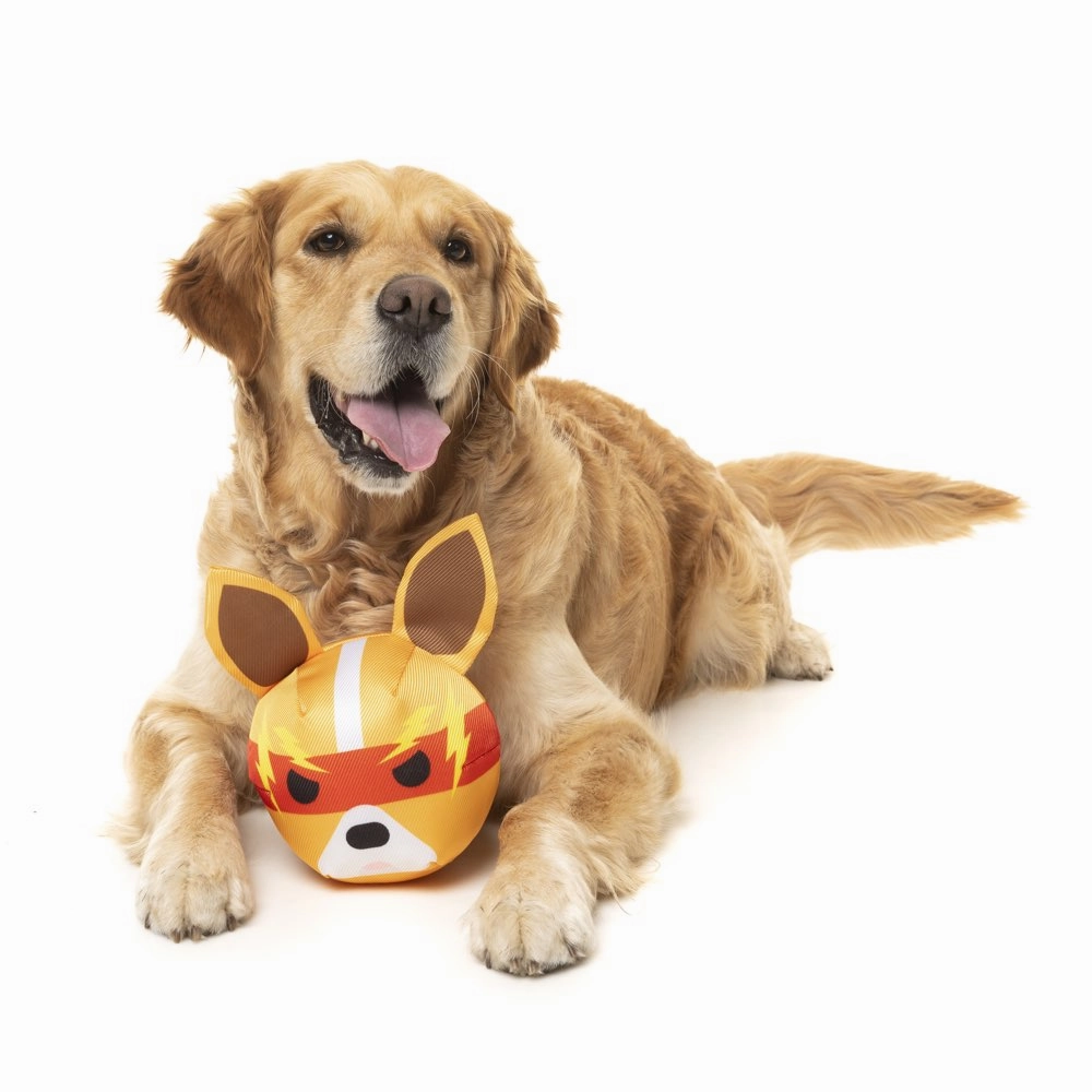 15% OFF: FuzzYard Doggoforce Toy (Zap)