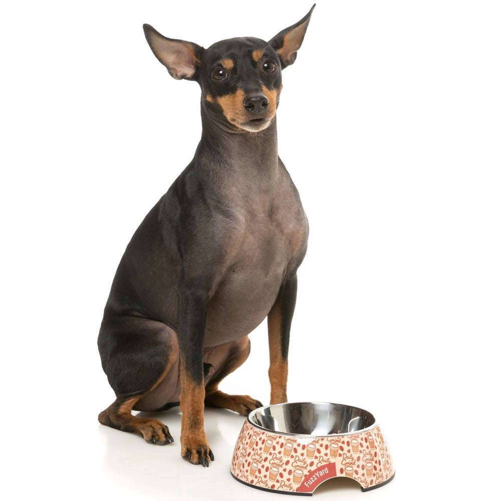15% OFF: FuzzYard Easy Feeder Dog Bowl (Daily Grind)