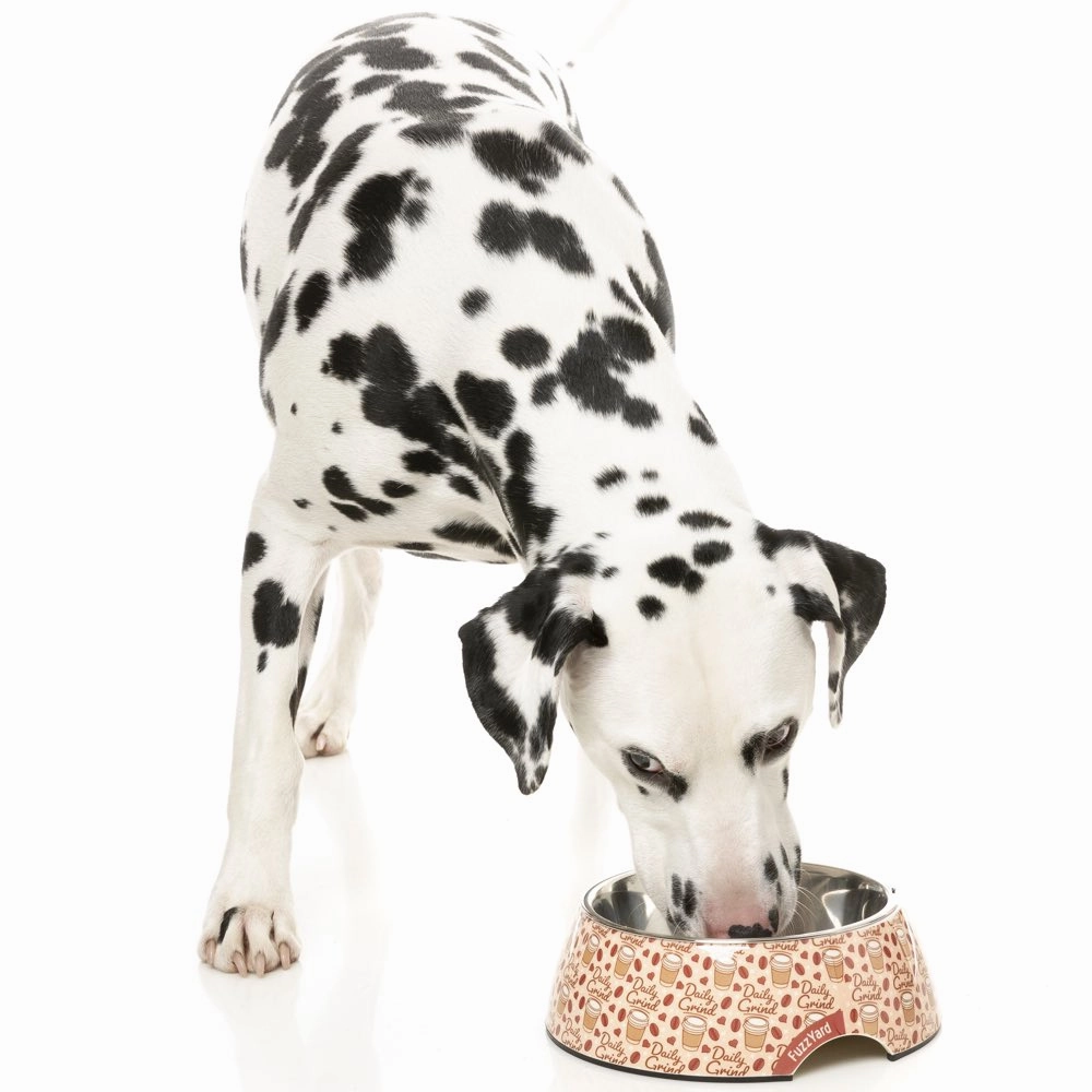 15% OFF: FuzzYard Easy Feeder Dog Bowl (Daily Grind)
