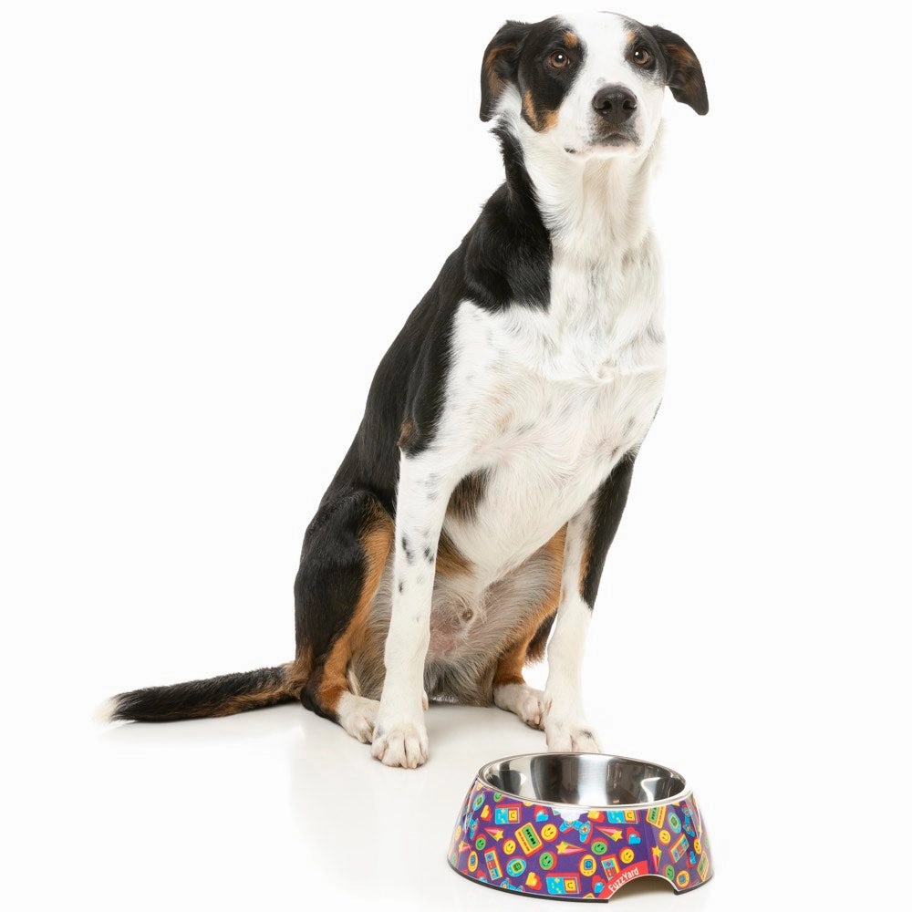 15% OFF: FuzzYard Easy Feeder Dog Bowl (Highscore)