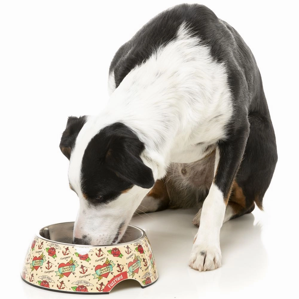 15% OFF: FuzzYard Easy Feeder Dog Bowl (Ink'd Up)