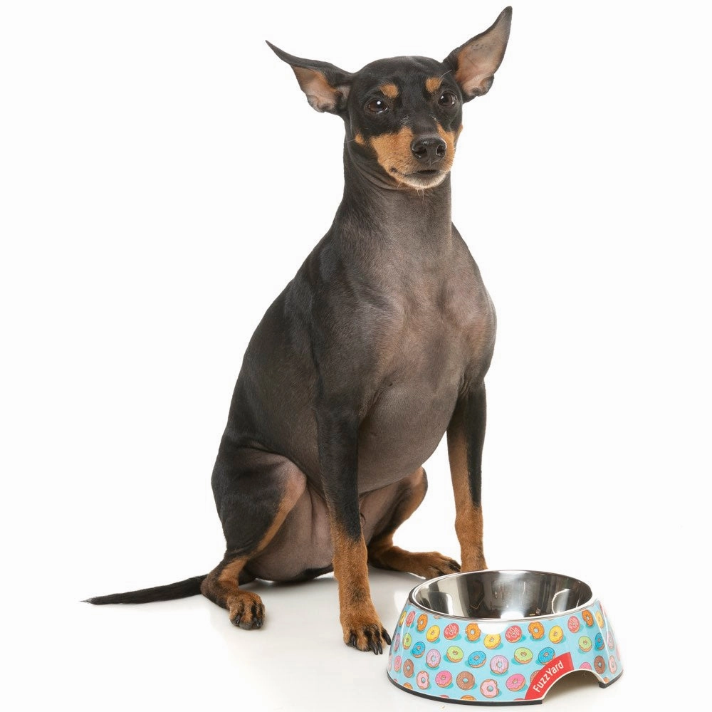 15% OFF: FuzzYard Easy Feeder Dog Bowl (You Drive Me Glazy)