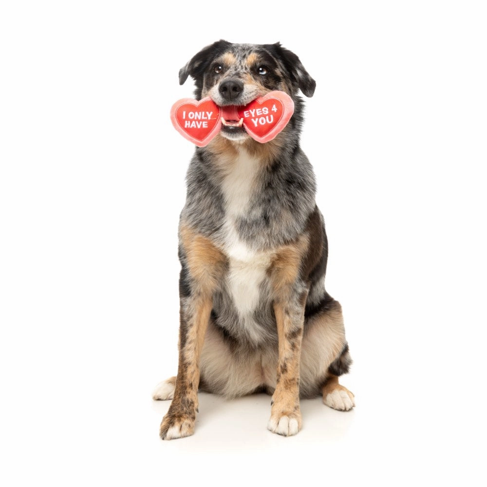 15% OFF: FuzzYard Eyes 4 U Specs Dog Toy