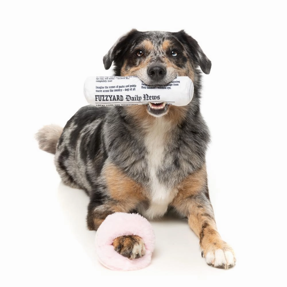 15% OFF: FuzzYard Fetch My Slippers & Paper 2 Pcs Dog Toy