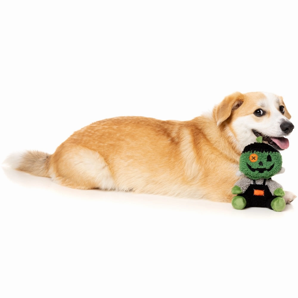 15% OFF: FuzzYard Halloween Jack-O Chan Frankenstein Plush Dog Toy