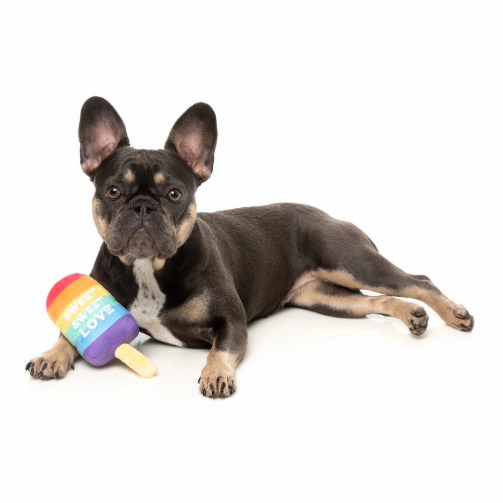 15% OFF: FuzzYard Love Icy Pole Dog Toy