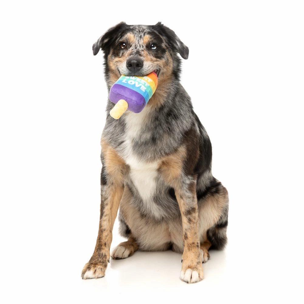 15% OFF: FuzzYard Love Icy Pole Dog Toy