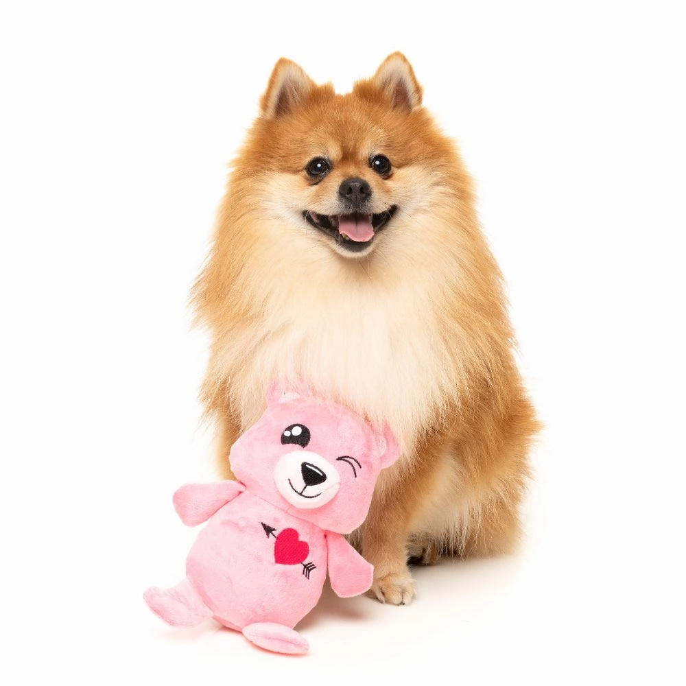 15% OFF: FuzzYard Nothing Butt Love Bear Dog Toy