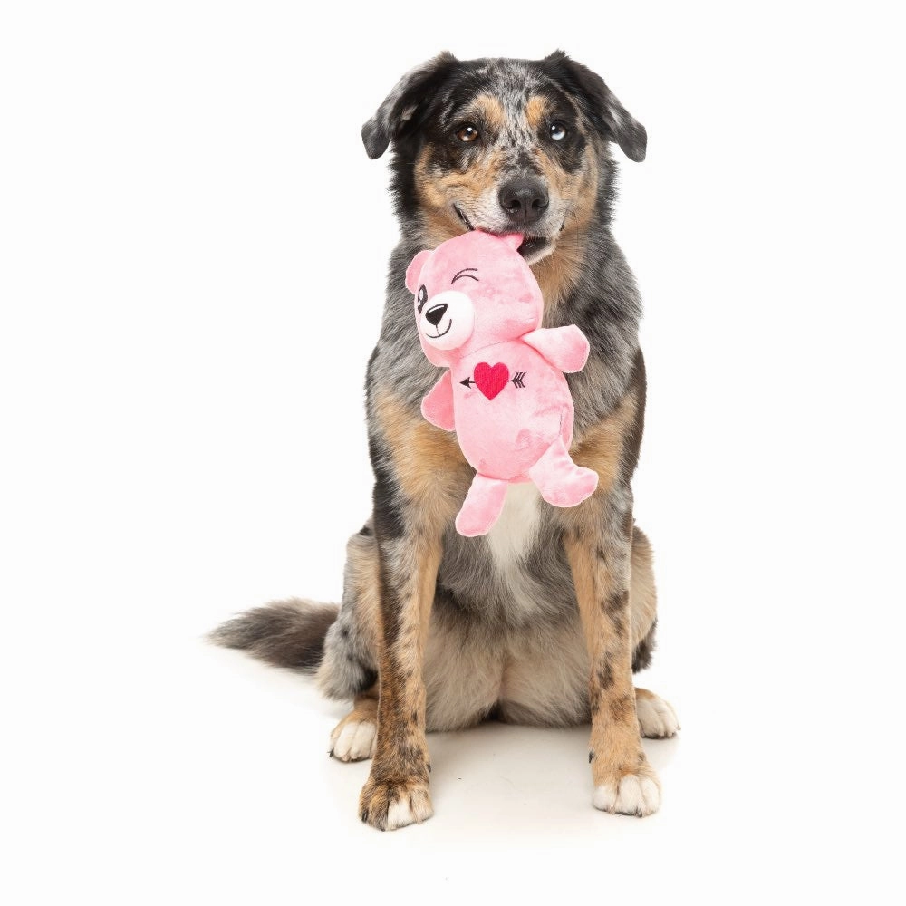15% OFF: FuzzYard Nothing Butt Love Bear Dog Toy