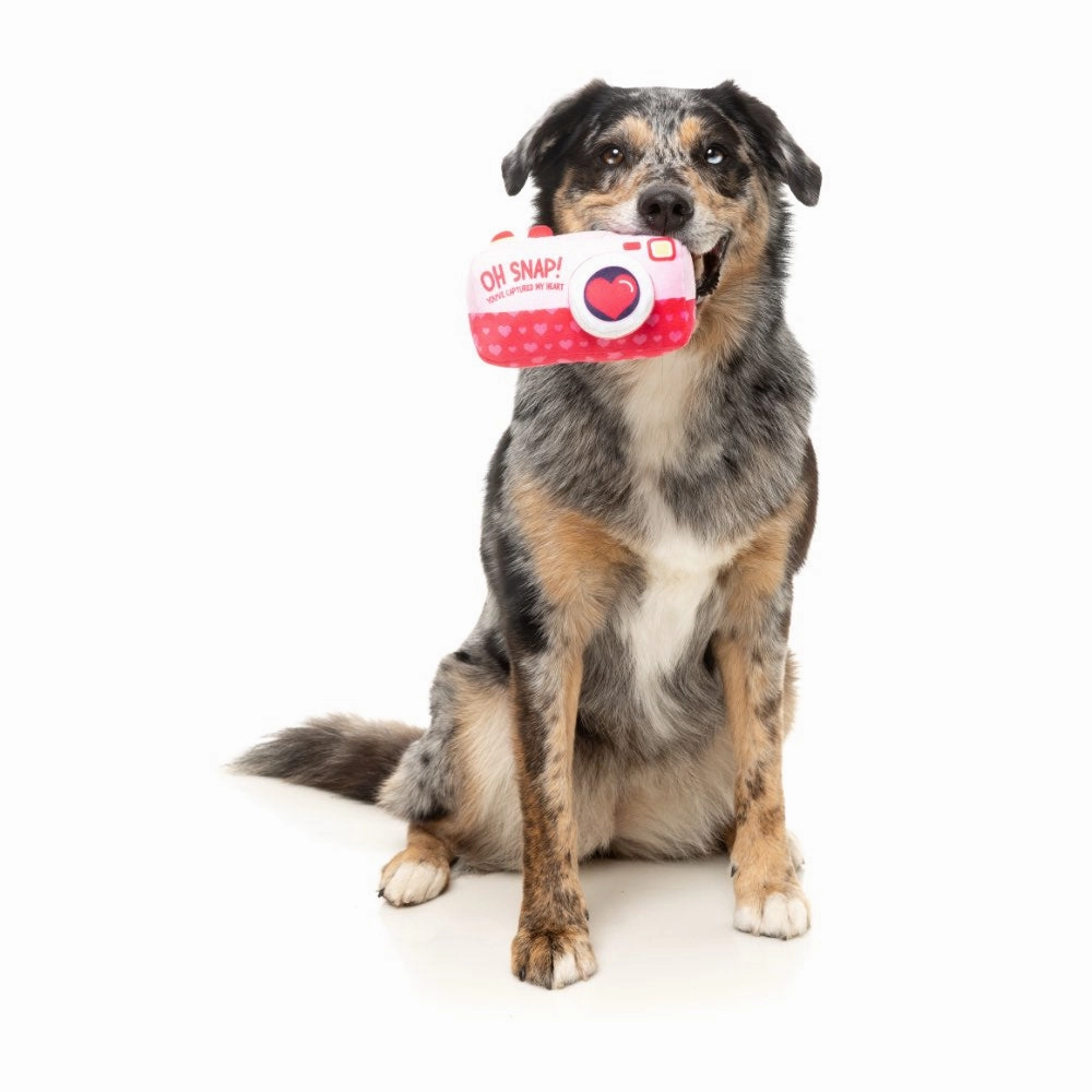 15% OFF: FuzzYard Oh Snap Camera Dog Toy