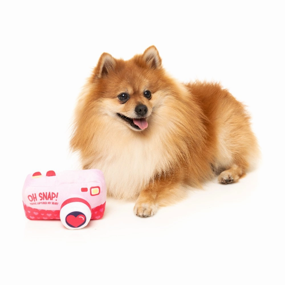 15% OFF: FuzzYard Oh Snap Camera Dog Toy