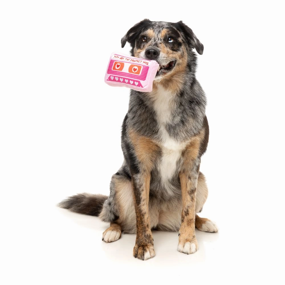 15% OFF: FuzzYard Pawfect Mix Tape Dog Toy