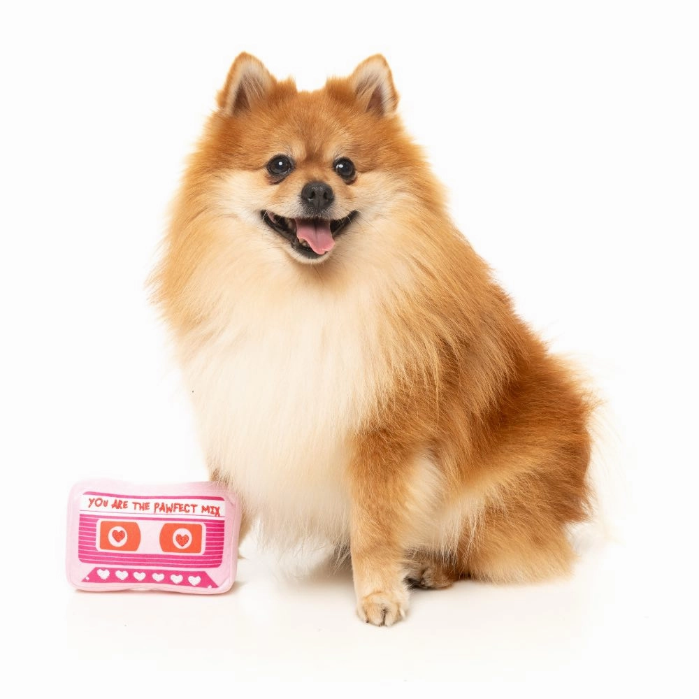 15% OFF: FuzzYard Pawfect Mix Tape Dog Toy