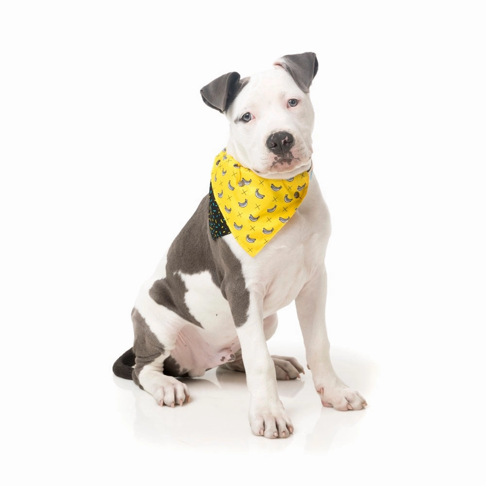 15% OFF: FuzzYard Pet Bandana (Monkey Mania)