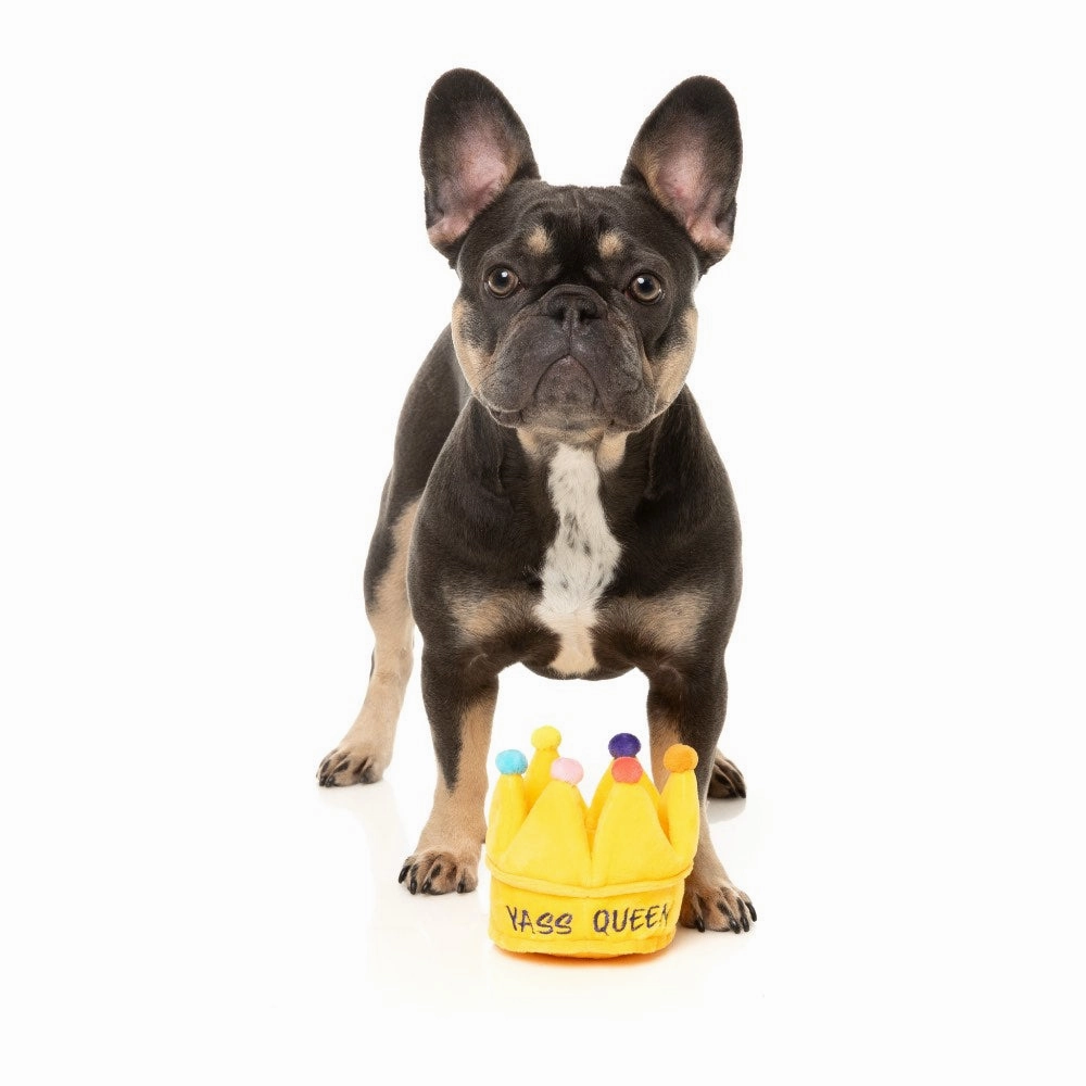 15% OFF: FuzzYard Yass Queen Crown Dog Toy