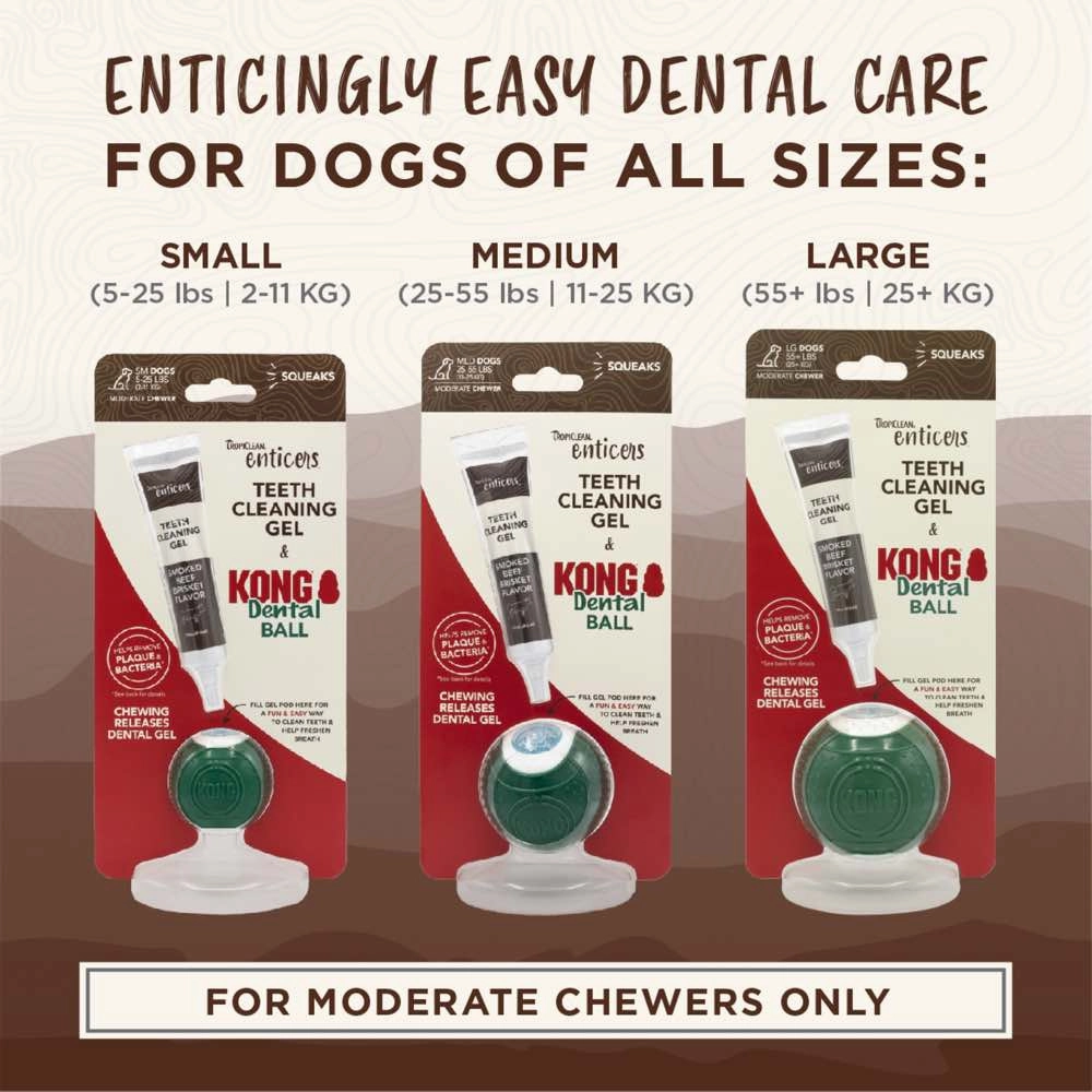 15% OFF:TropiClean Enticers Teeth Cleaning Gel & Kong Dental Ball Dog Toy (Large)