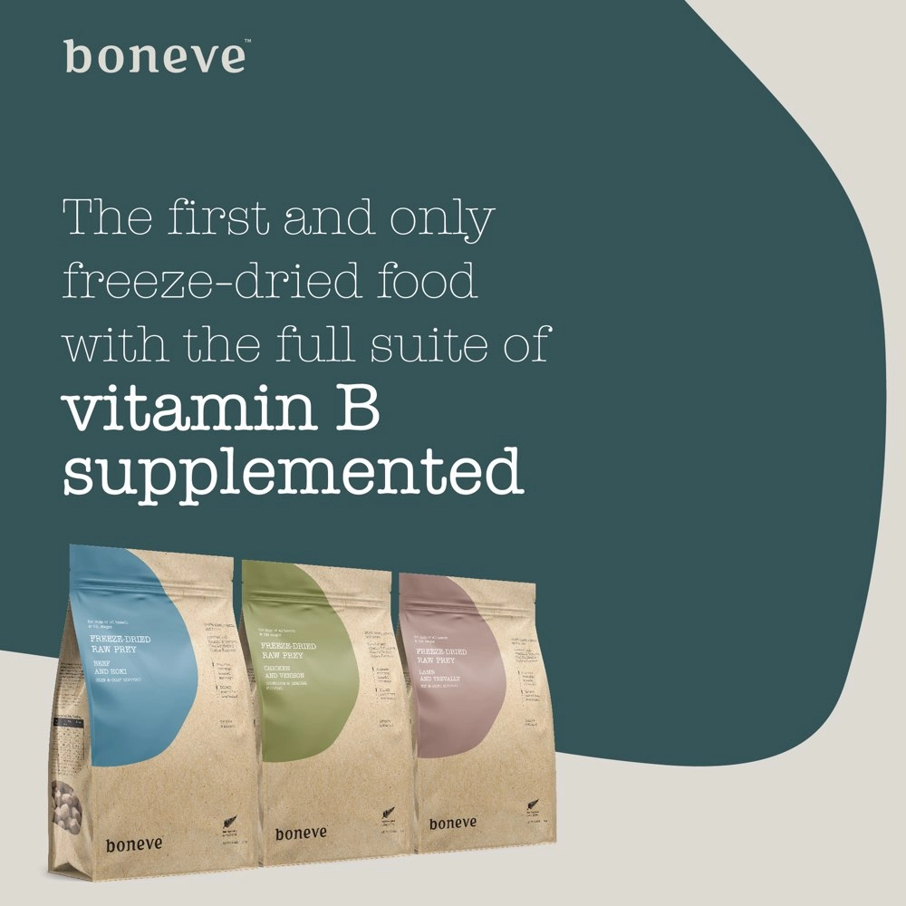 20% OFF: Boneve Beef & Hoki Skin & Coat Support Grain-Free Freeze-Dried Raw Dog Food