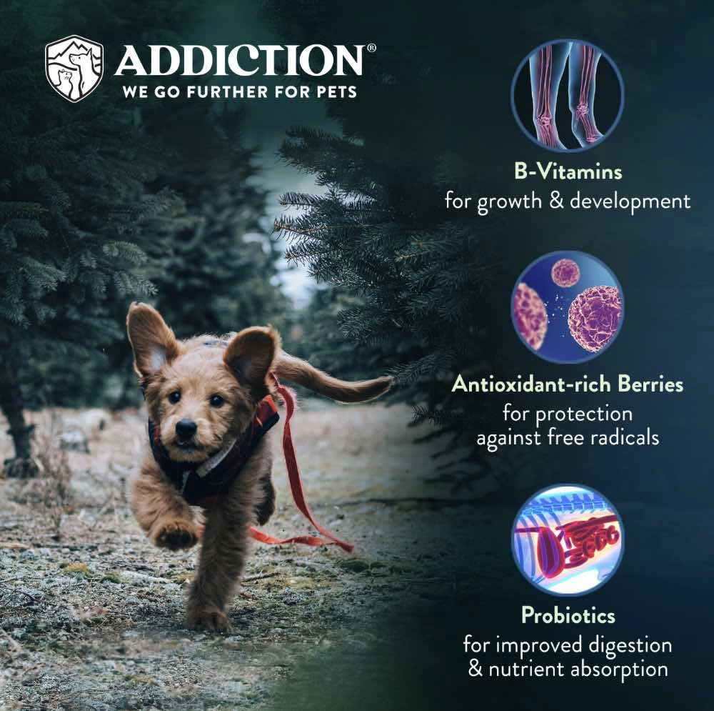 25% OFF: Addiction Salmon Bleu Puppy Grain Free Dry Dog Food