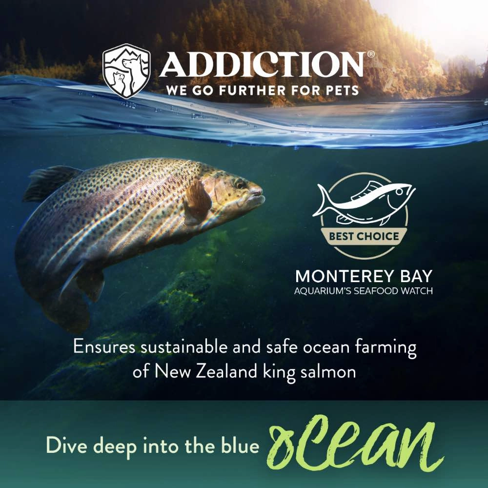 25% OFF: Addiction Salmon Bleu Puppy Grain Free Dry Dog Food