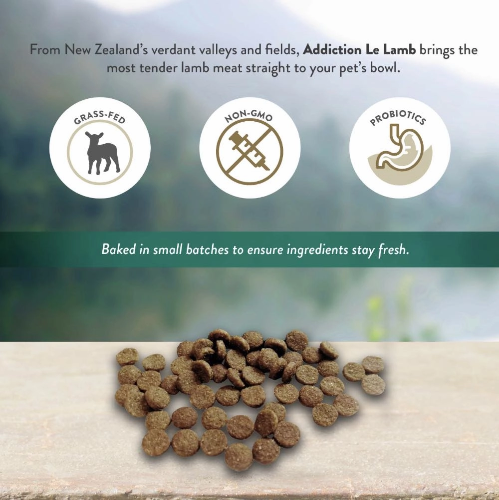 25% OFF/BUNDLE DEAL: Addiction Le Lamb Grain Free Dry Dog Food