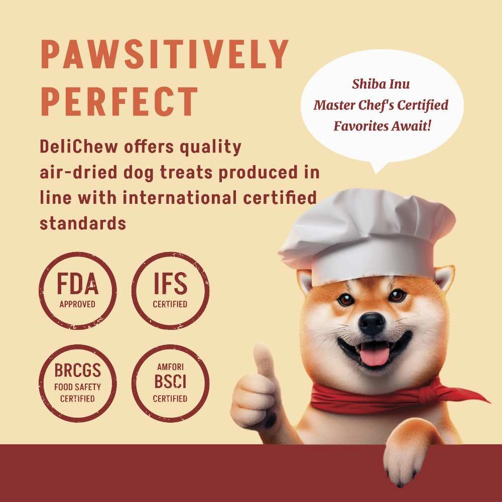 25% OFF: Singapaw Deli Chew Turkey & Beef Tendon Ring Dog Chew (Small) 11g