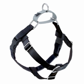 Dog Collar Lead Harness