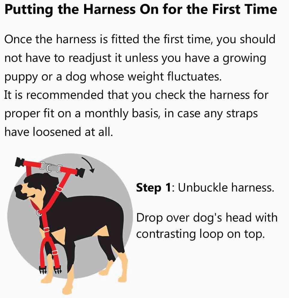 2 Hounds Design Freedom No-Pull Dog Harness & Leash - Raspberry