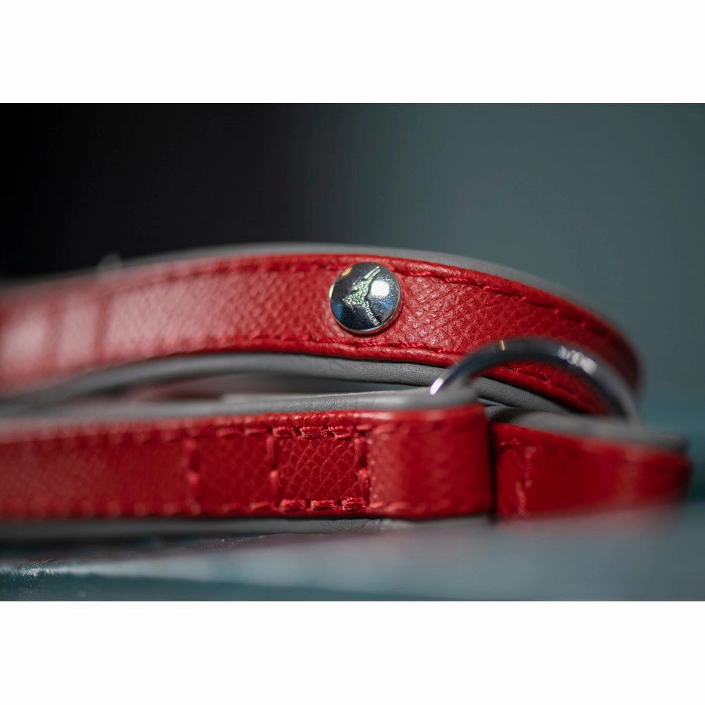 30% OFF: Das Lederband Firenze Leather Dog Leash (Carnelian/Stone)