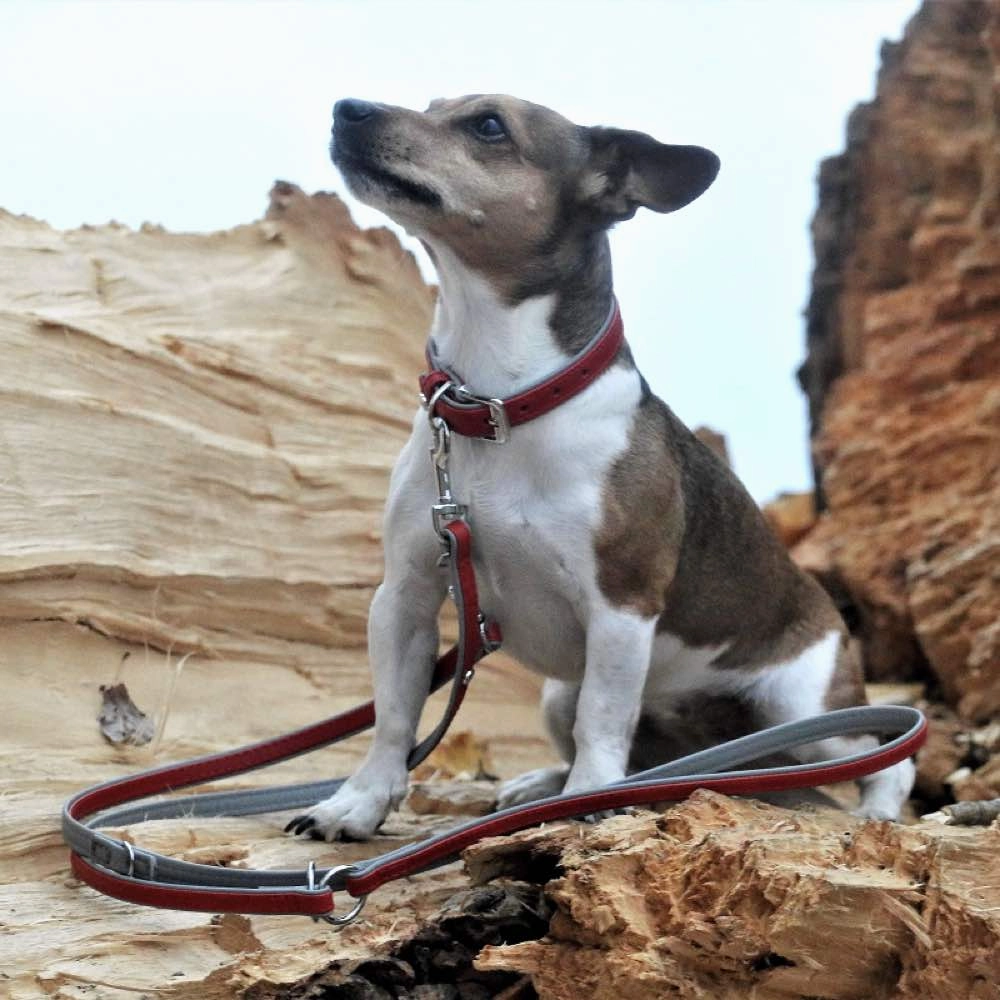 30% OFF: Das Lederband Firenze Leather Dog Leash (Carnelian/Stone)