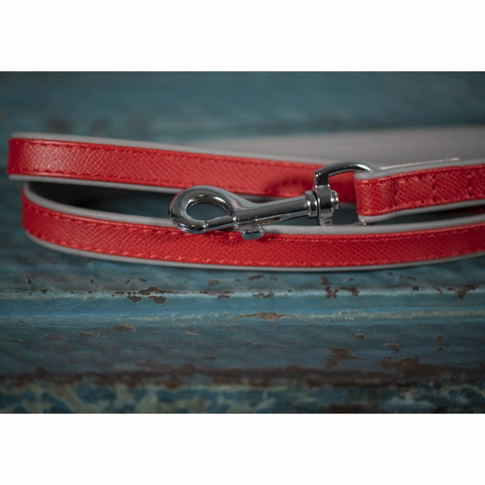 30% OFF: Das Lederband Firenze Leather Dog Leash (Carnelian/Stone)