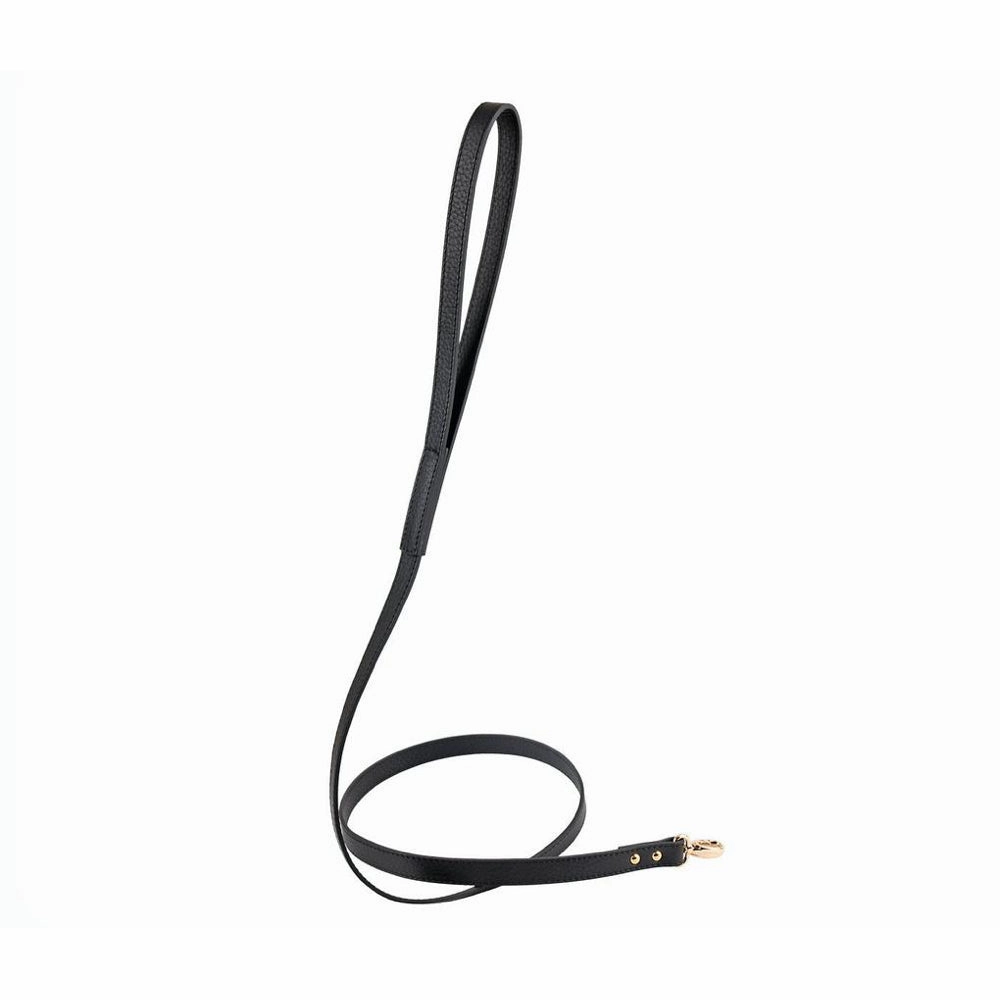 30% OFF: Moshiqa Balley Leather Dog Leash (Black)