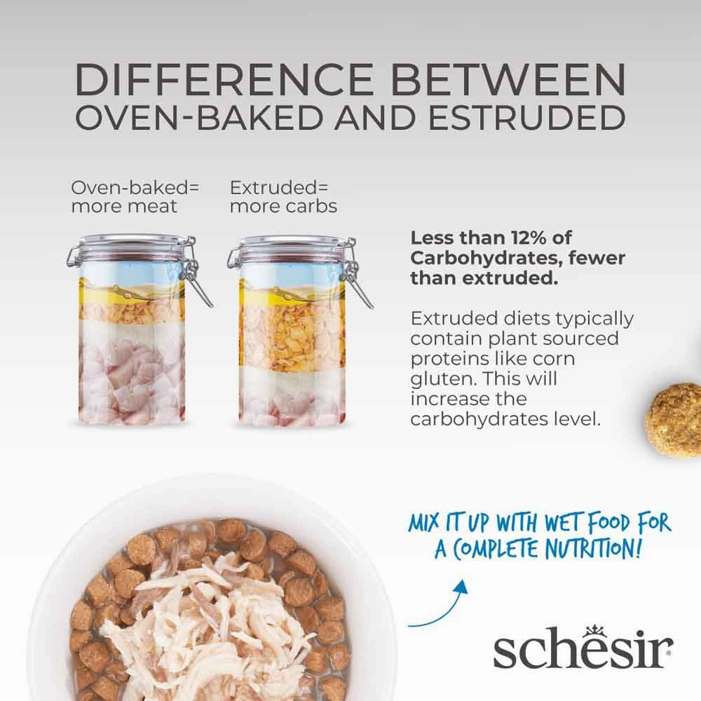 33% OFF: Schesir Born Carnivore Chicken with Egg Oven Baked Dry KITTEN Food