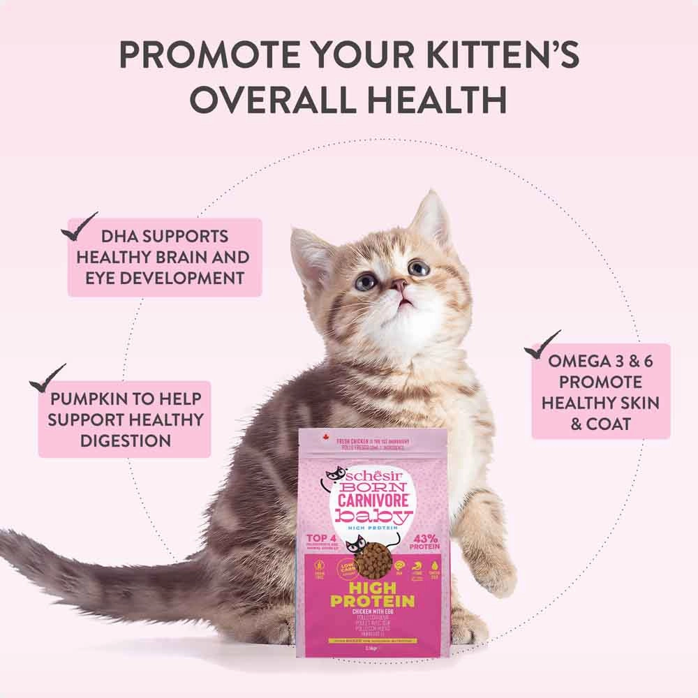 33% OFF: Schesir Born Carnivore Chicken with Egg Oven Baked Dry KITTEN Food