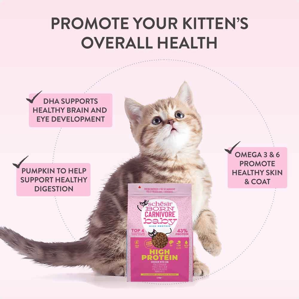 33% OFF: Schesir Born Carnivore Chicken with Egg Oven Baked Dry KITTEN Food
