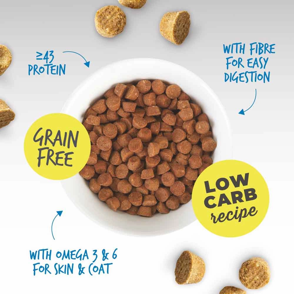 33% OFF: Schesir Born Carnivore Chicken with Egg Oven Baked Dry KITTEN Food