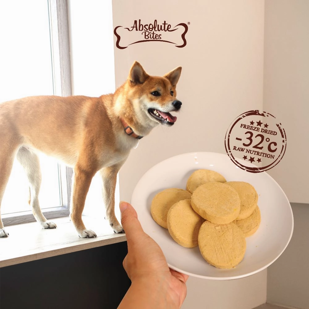 37% OFF: Absolute Bites Quail Freeze-Dried Raw Patties Dog Food 14oz