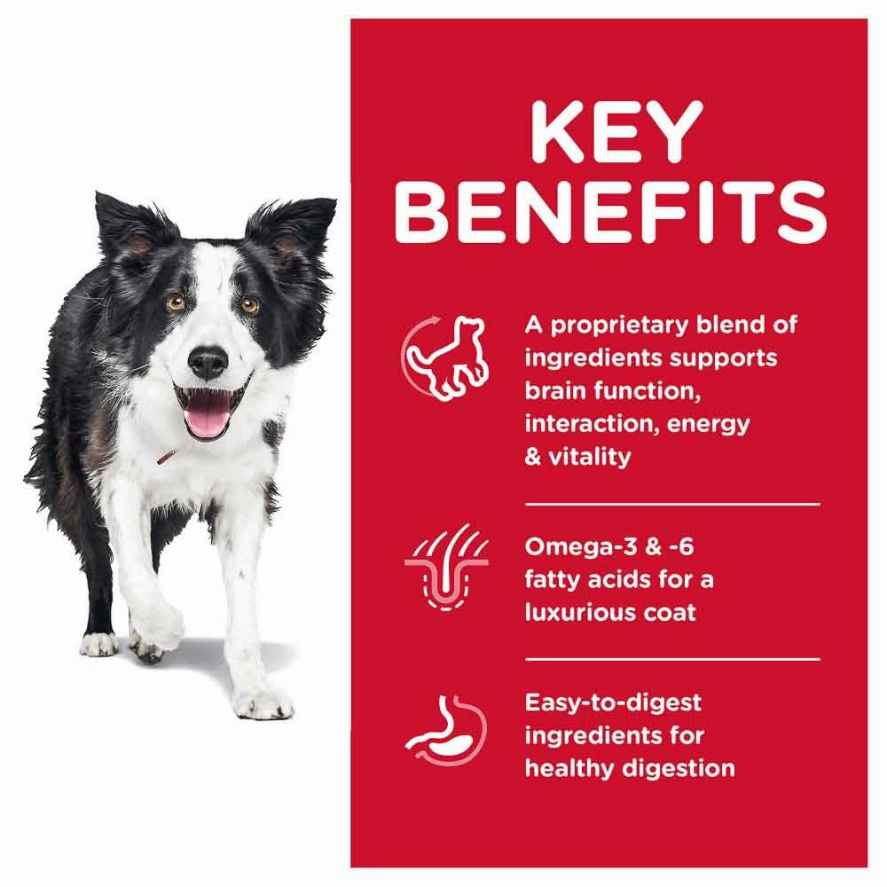 40% OFF 21.5lb: Science Diet Senior Vitality Adult 7  Dry Dog Food