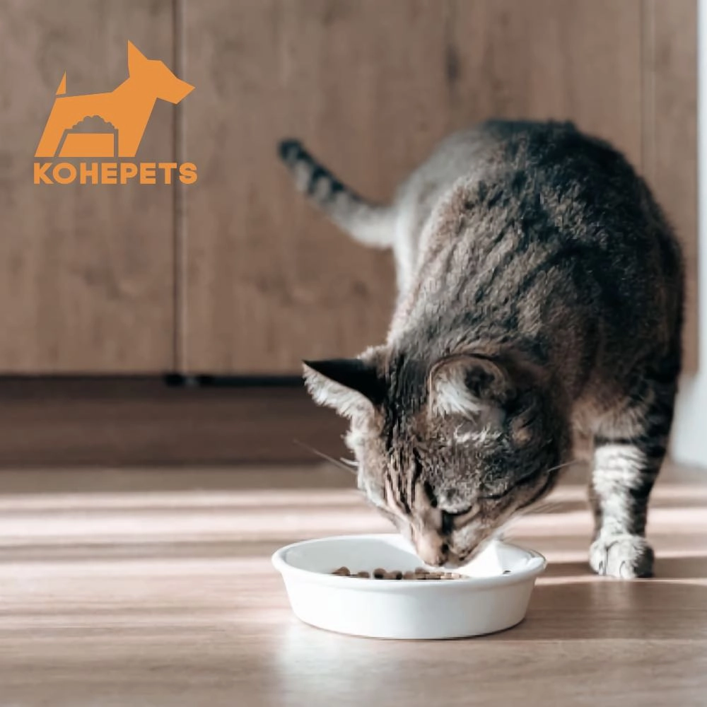 $10 OFF 24 cans: Aixia Kuro-Can Mini Tuna & Skipjack Tuna with Whitebait Canned Cat Food 80g x 24