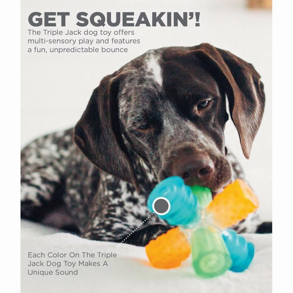 $2 OFF: Outward Hound Triple Jack Multi-Squeak Interactive Dog Toy