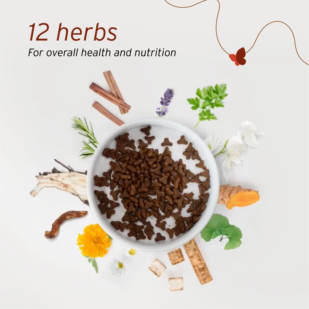 'BUNDLE DEAL': Nurture Pro Nourish Life Alaskan Salmon Indoor Kitten & Adult Formula Dry Cat Food