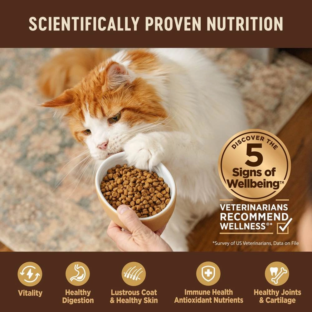'FREE TREATS': Wellness CORE  Indoor Chicken, Turkey & Chicken Meal Indoor Formula Dry Cat Food