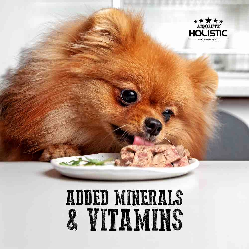 Absolute Holistic Pork Complete & Balanced Meaty Loaf Wet Tray Dog Food 100g