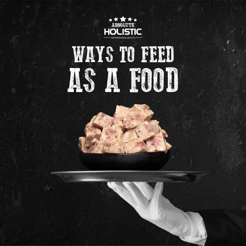 Absolute Holistic Pork Complete & Balanced Meaty Loaf Wet Tray Dog Food 100g