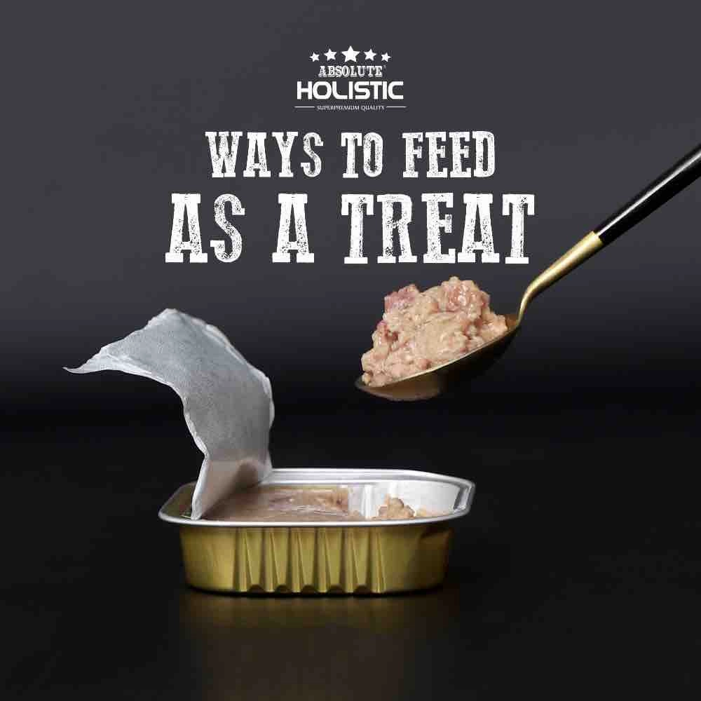 Absolute Holistic Pork Complete & Balanced Meaty Loaf Wet Tray Dog Food 100g